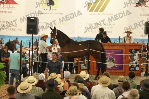 JHM_3470