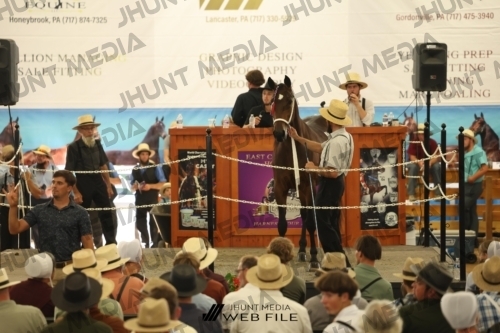 JHM_3475