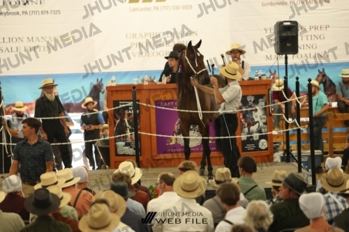 JHM_3476