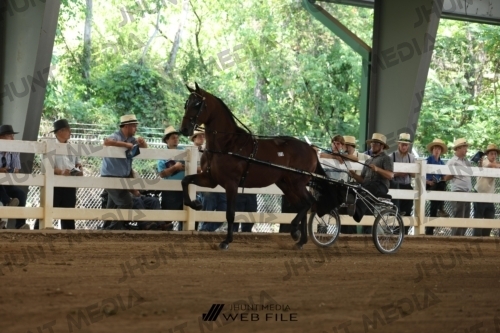 JHM_1191