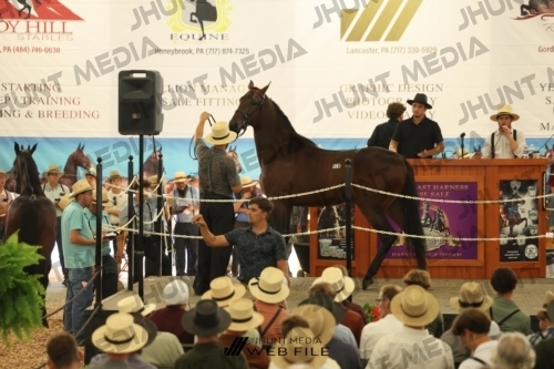 JHM_3483