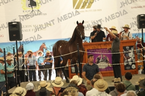JHM_3486