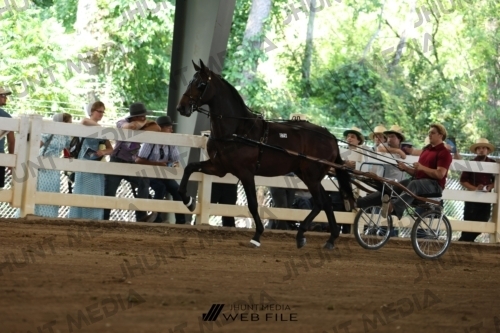 JHM_1184