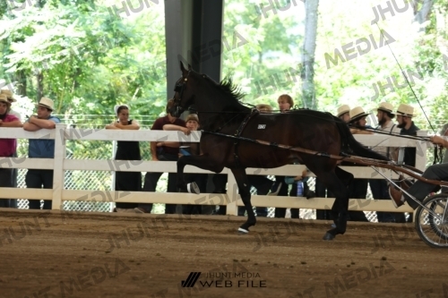 JHM_1190