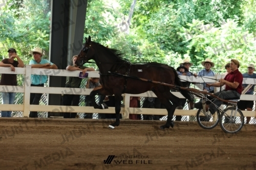 JHM_1195