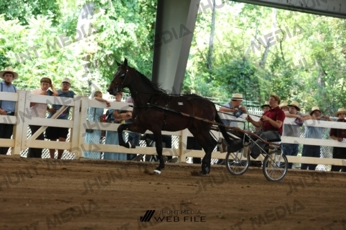 JHM_1201
