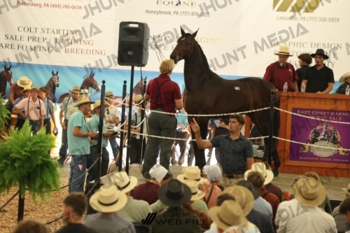 JHM_3503