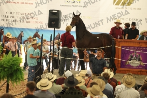 JHM_3504