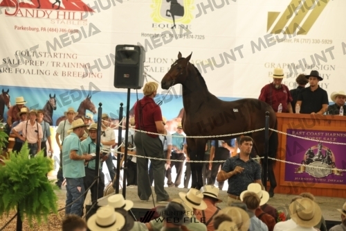 JHM_3505