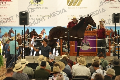 JHM_3507