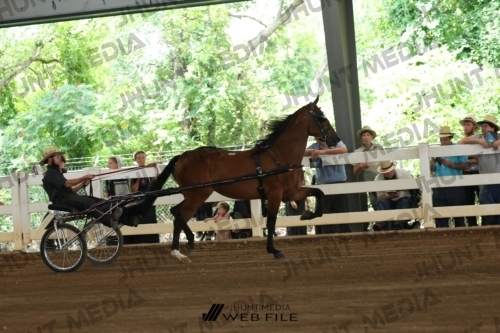 JHM_0079