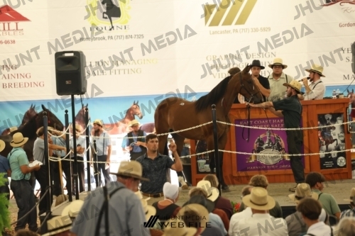 JHM_3517