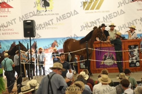 JHM_3518