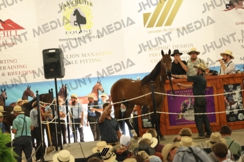 JHM_3521