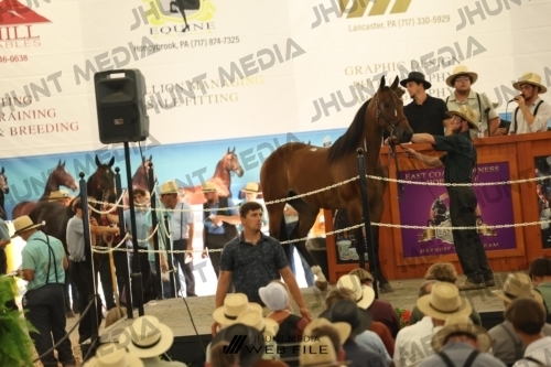 JHM_3523