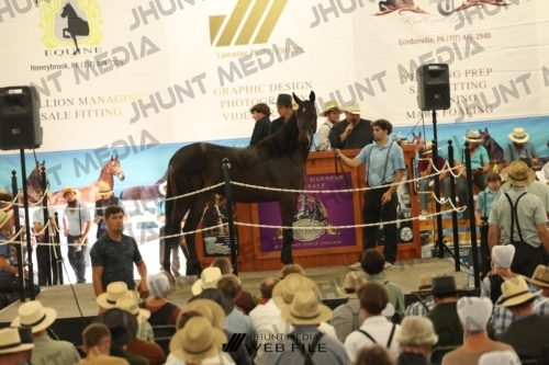 JHM_3525