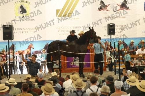 JHM_3526