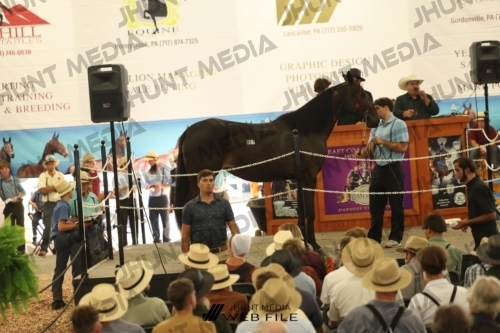 JHM_3531