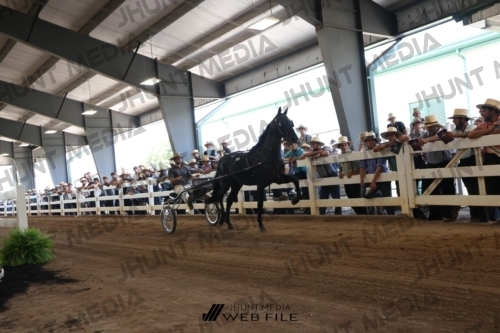 JHM_1379