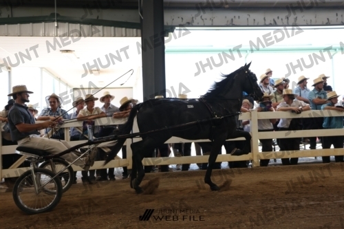 JHM_1412