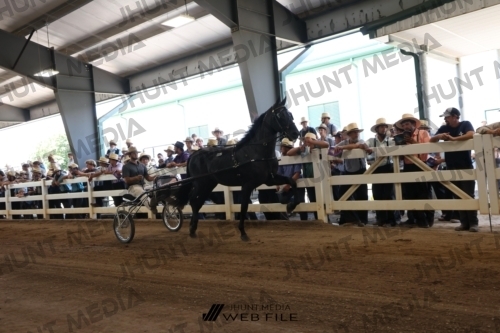 JHM_1764