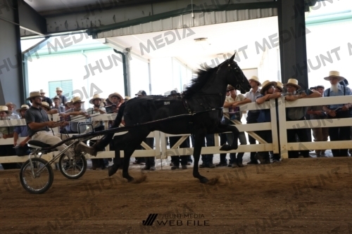 JHM_1780