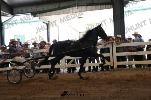 JHM_1781