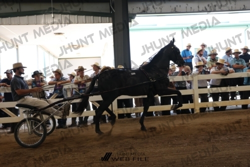 JHM_1789