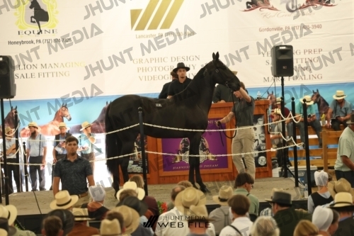 JHM_3532