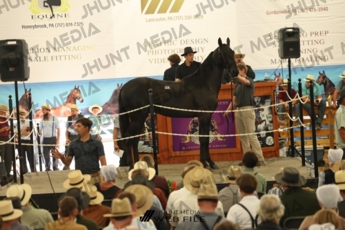 JHM_3534