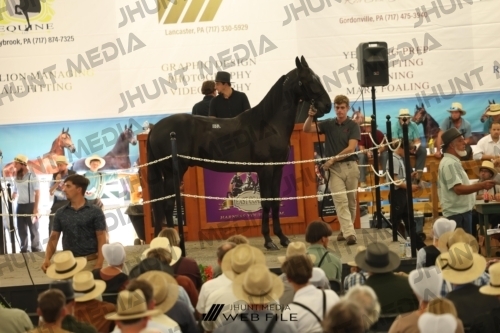 JHM_3537