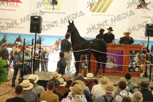 JHM_3538