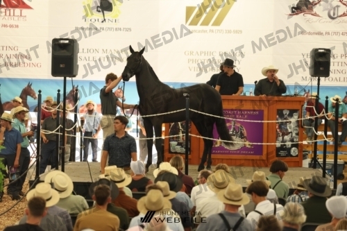 JHM_3542