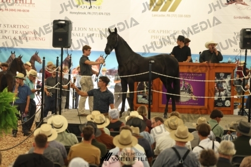 JHM_3544