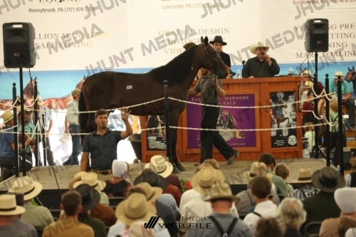 JHM_3550