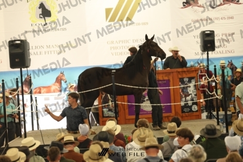 JHM_3567