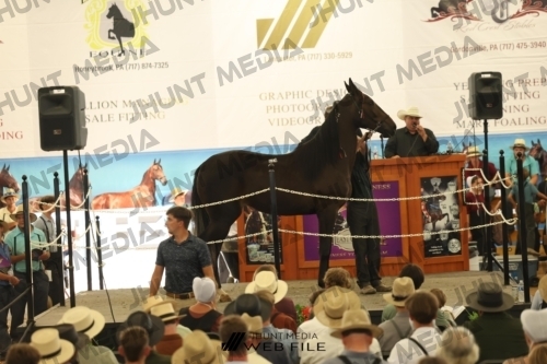 JHM_3569