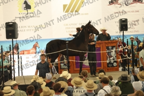JHM_3571