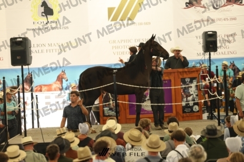 JHM_3572