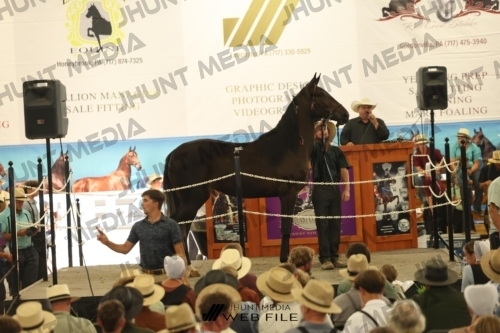 JHM_3573