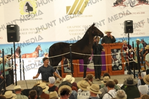 JHM_3574
