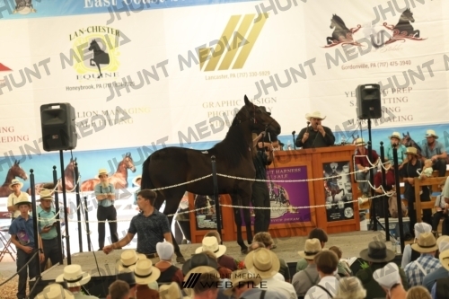 JHM_3576