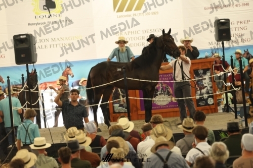 JHM_3581