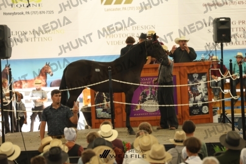 JHM_3587