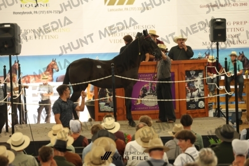 JHM_3588