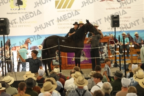 JHM_3589