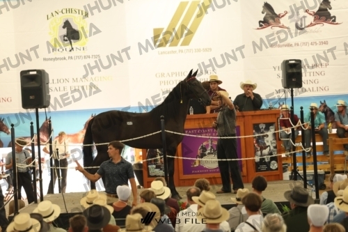 JHM_3592