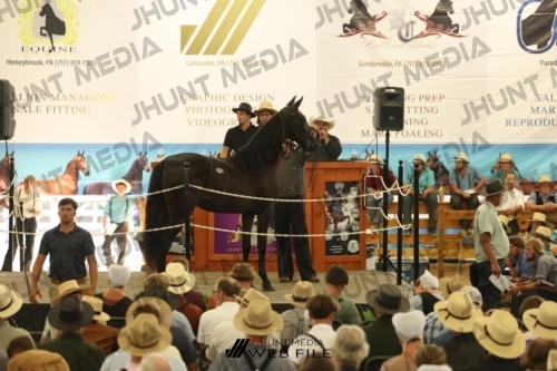JHM_3596