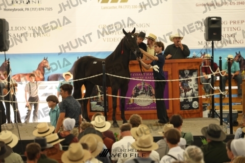 JHM_3598
