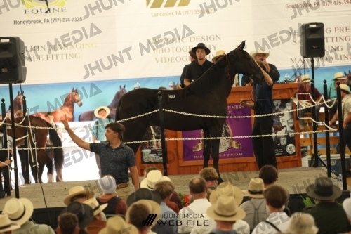JHM_3607